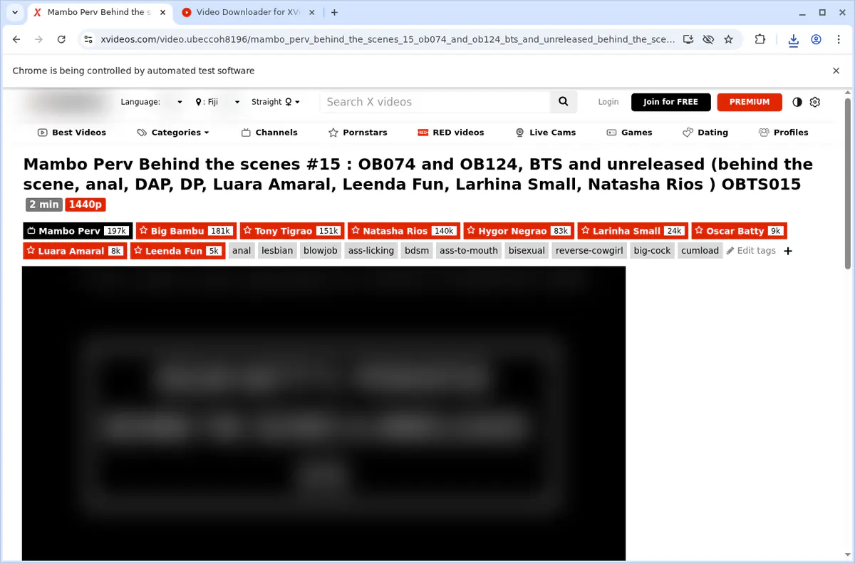 Xvideos Video Downloader screenshot 4