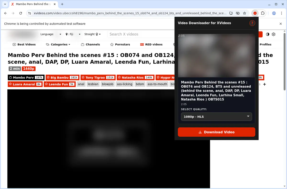 Xvideos Video Downloader screenshot 5